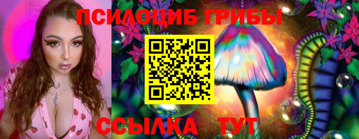 Галлюциногенные грибы Psilocybine cubensis Троицк