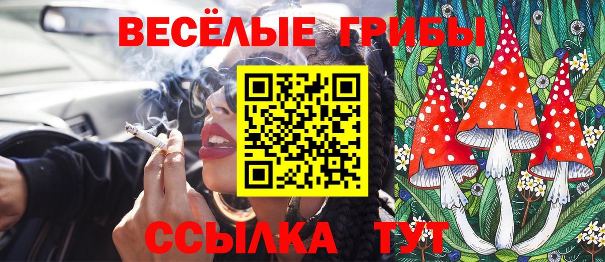 Троицк  Галлюциногенные грибы мухоморы  Галлюциногенные грибы прущие грибы  Вход с VPN 